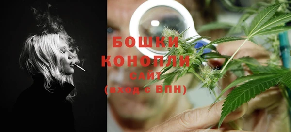 соль ск Волосово