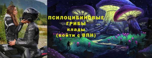 мескалин Вяземский