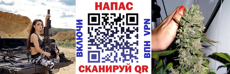 Конопля гибрид Давлеканово